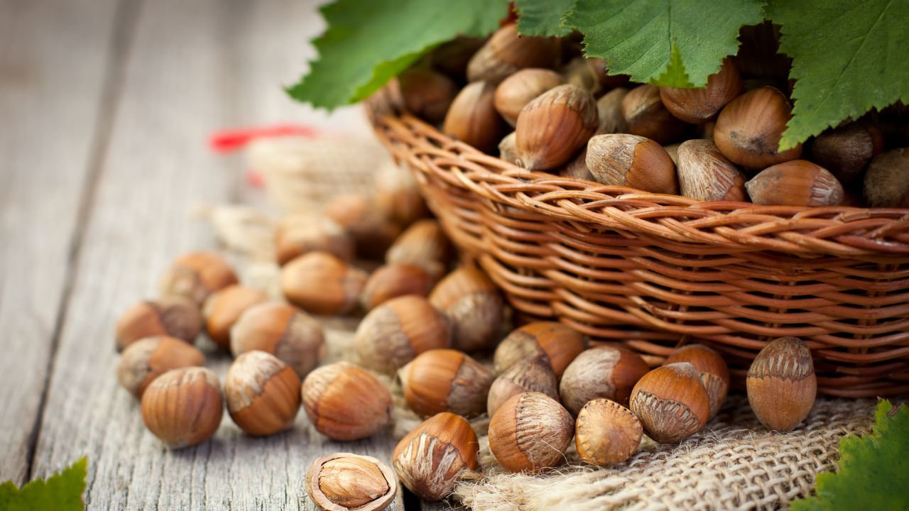 Düzce’de Fındık Fiyatları Yükselişte